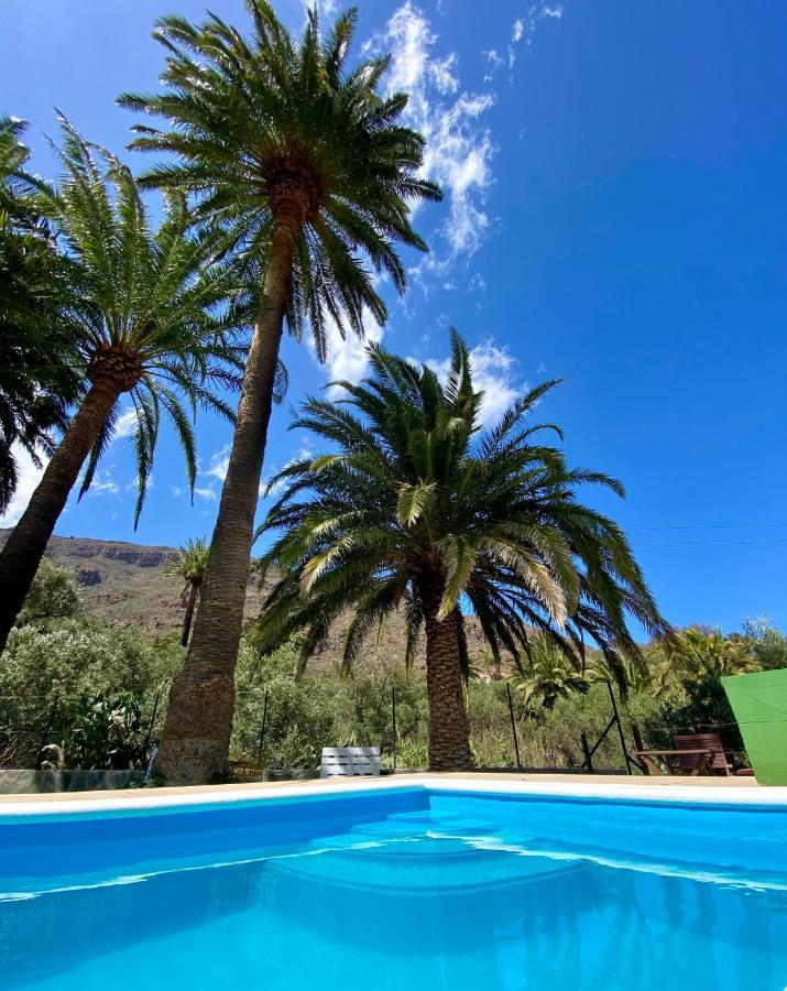 Las Palmeras Temisas Extérieur photo