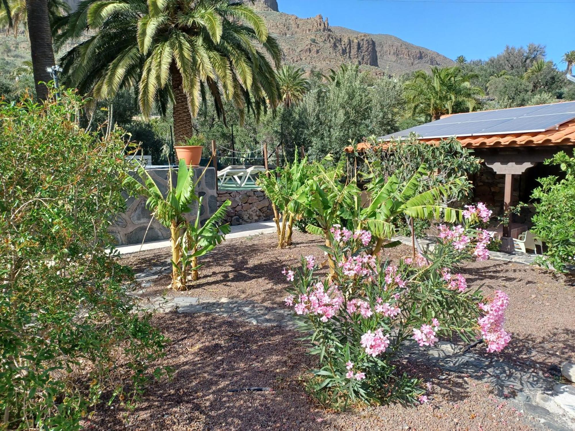 Las Palmeras Temisas Extérieur photo